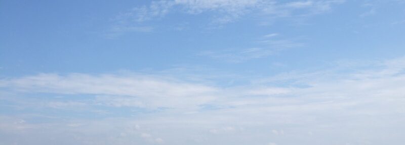 渡良瀬遊水池、野渡橋通行再開求ム