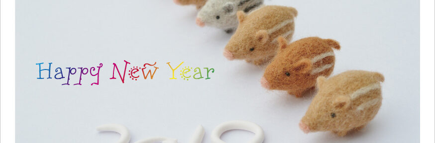 本年もよろしくお願いします。遅ればせ。